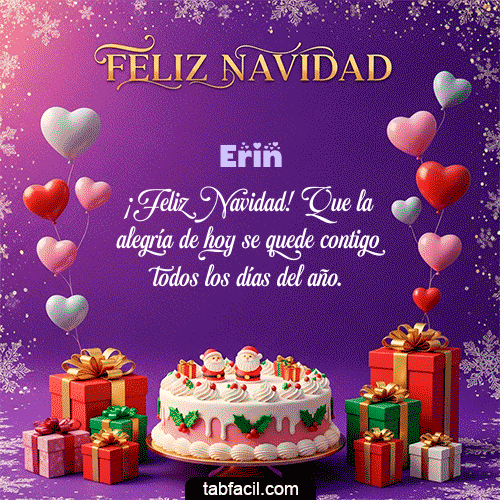 Feliz Navidad Erin GIF