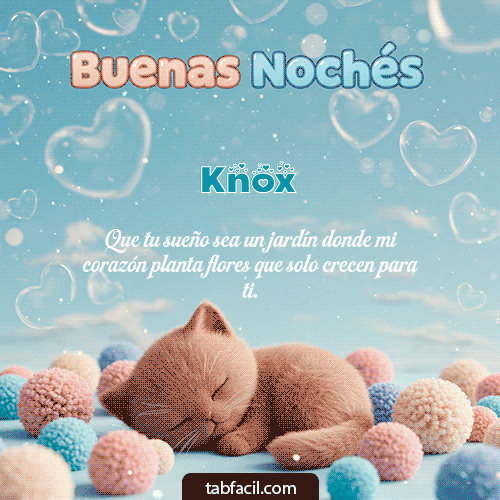 Buenas Noches Knox GIF