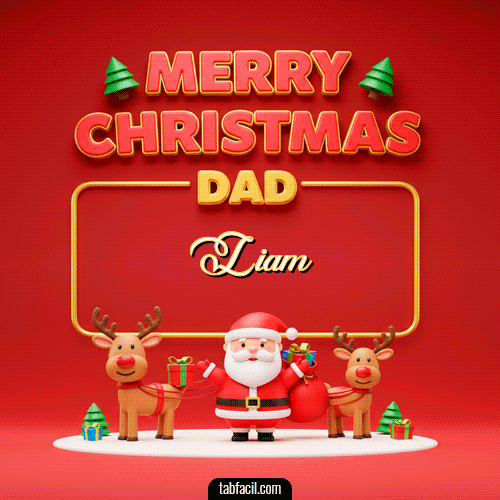 Ver GIF de Merry Christmas DAD GIF de Liam - Merry Christmas DAD