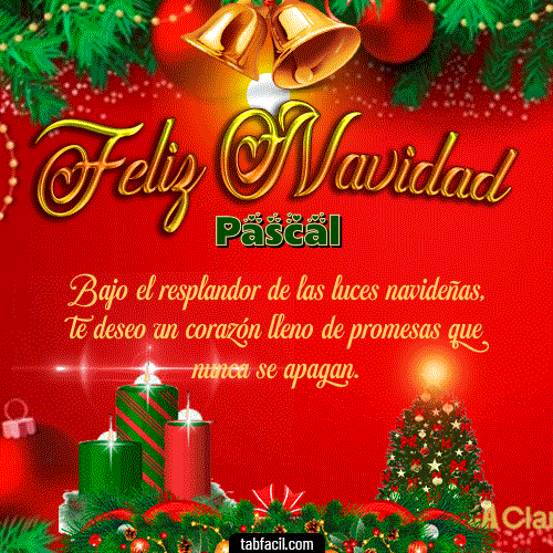 Feliz Navidad Pascal GIF
