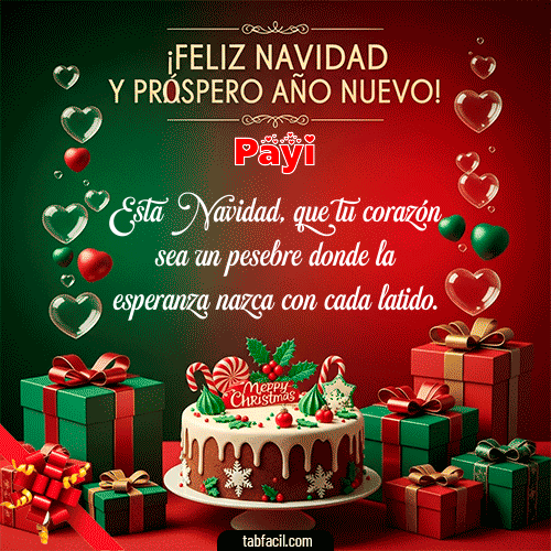 Feliz Navidad Payi GIF