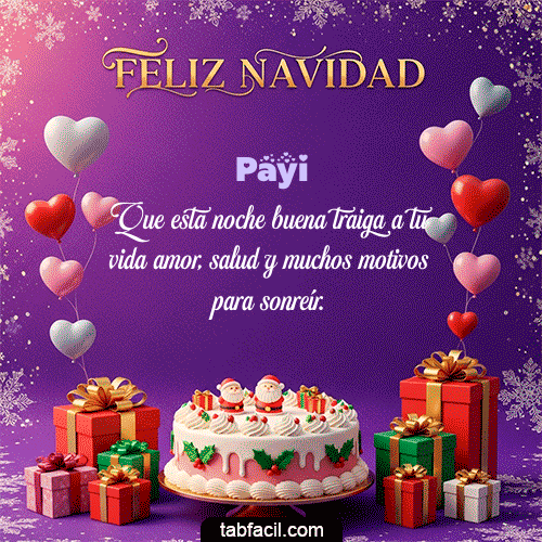 Feliz Navidad Payi GIF