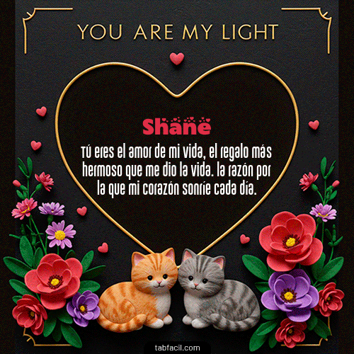 Feliz Dia Amor Shane GIF