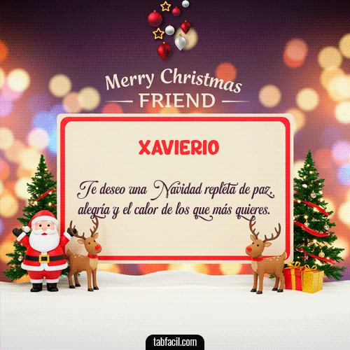 Feliz Navidad Xavierio GIF